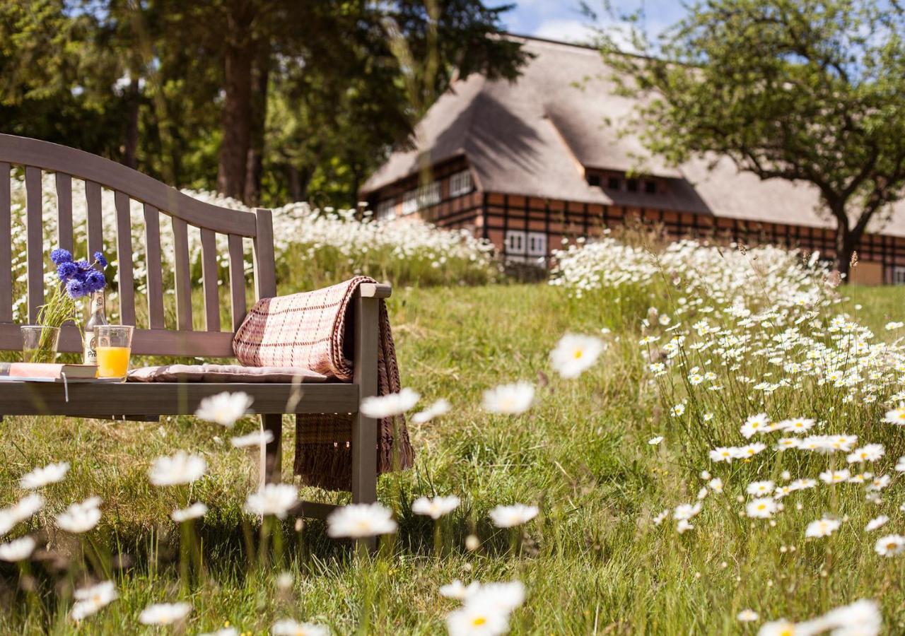 Park Am See X Nattika Ayurveda, Hotel Health Spirit Penzlin Exterior foto